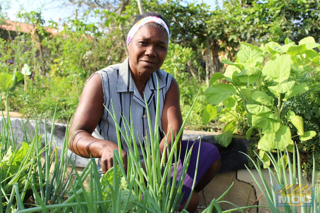 MOC é selecionado em chamadas públicas para serviços de assistência técnica que beneficiarão agricultores familiares