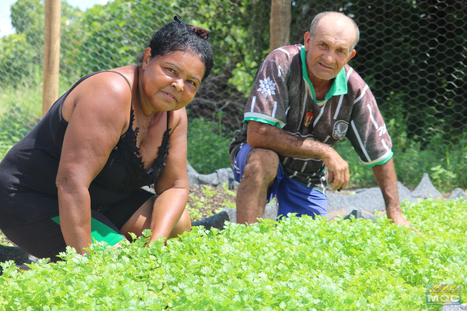 São José e a esperança dos agricultores/as: Fé e Tradição que Alimentam o Sertão