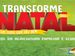 Transforme seu Natal em tudo que faz bem 