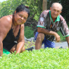 São José e a esperança dos agricultores/as: Fé e Tradição que Alimentam o Sertão