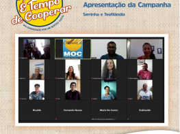 O MOC realizou encontro virtual para apresentação da Campanha É Tempo de Cooperar aos Comitês Municipais 