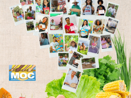 Brasil sai do Mapa da Fome: ações do MOC fortalecem segurança alimentar no Semiárido