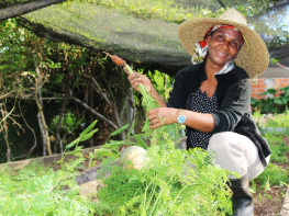 Desertificação no Semiárido: soluções que brotam da resistência dos povos da terra